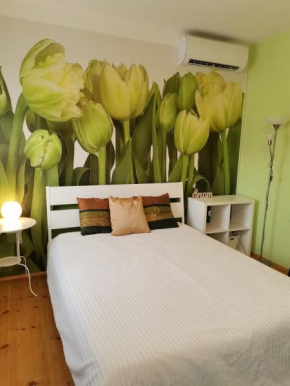 Bird Hill Apartment Budapest